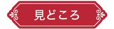 見どころ